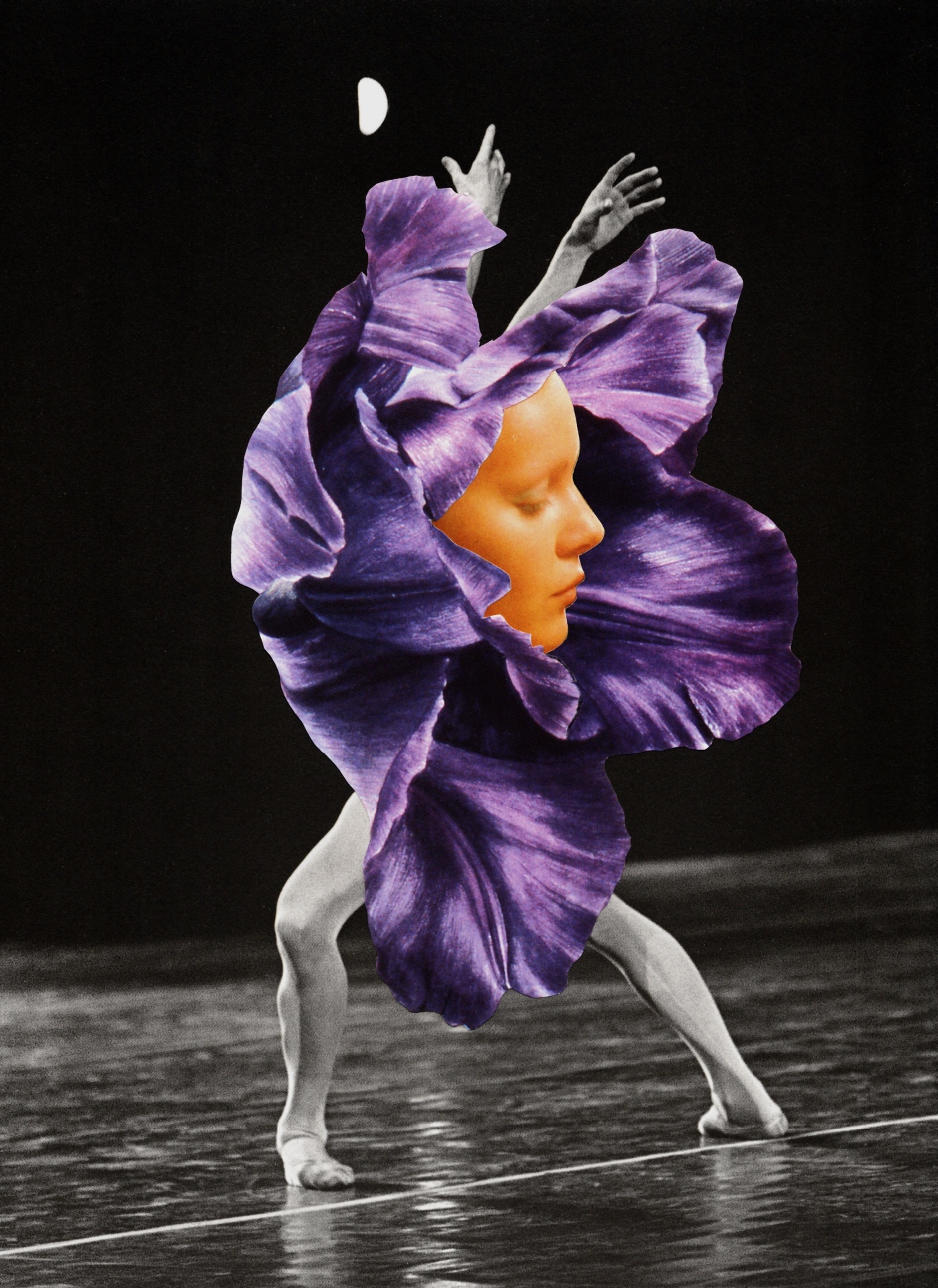 Pain is the doorway to the here and now | Clashing Squirrel | France